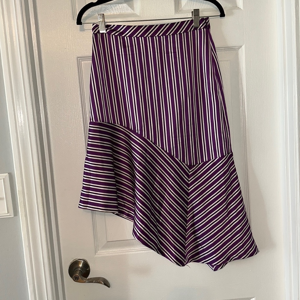 NWT Asymmetrical Silk Skirt